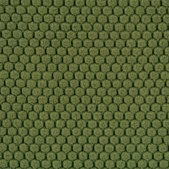 Option Olive