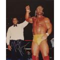 Steiner Sports Hulk Hogan With Ali 16x20 Autographed Photo