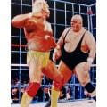 Steiner Sports Hulk Hogan With King Kong Bundy 16x20-inch Photograph