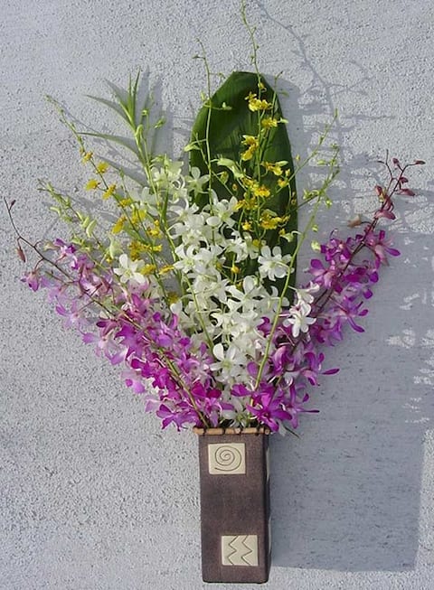 Shop Dendrobium Oncidium Orchid Assortment 12 Stems Overstock 53859