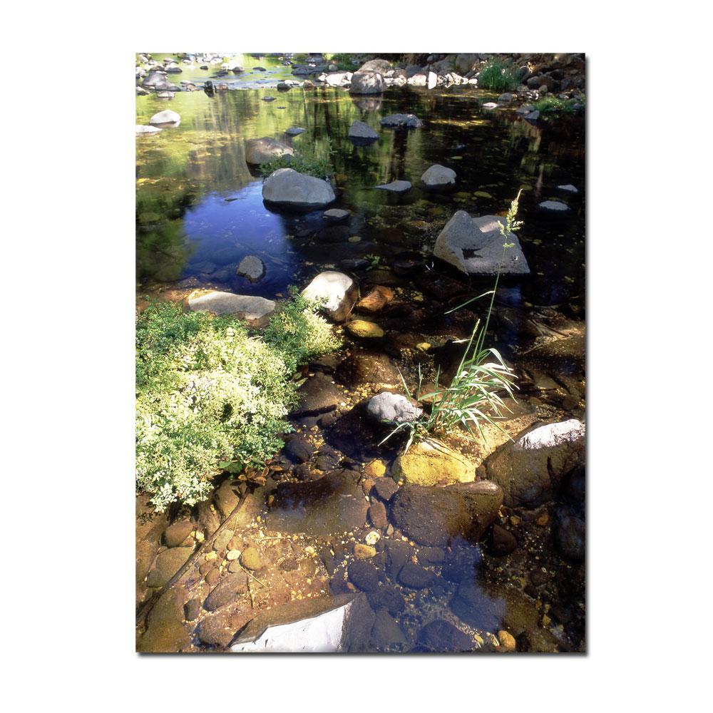 Kurt Shaffer Oak Creek, Sedona, AZ Canvas Art   13266325  