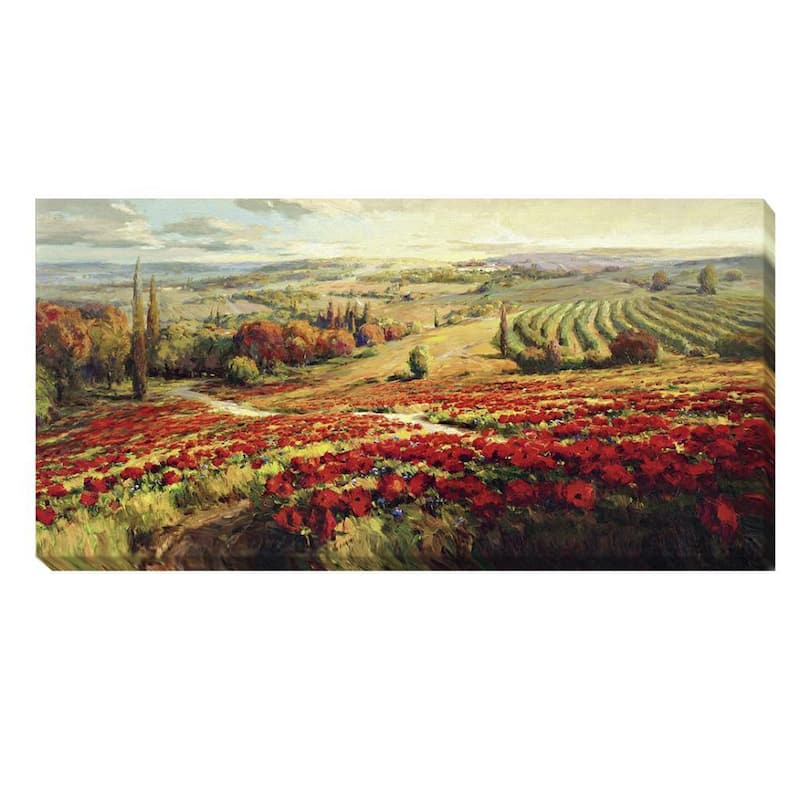Roberto Lombardi 'Red Poppy Panorama' Canvas Art