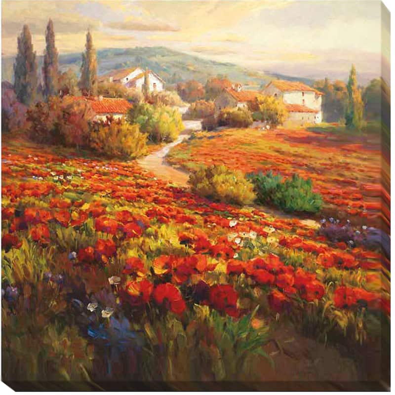 Roberto Lombardi 'Poppy Fields' Canvas Art - 35 x 35 - Orange Stretched