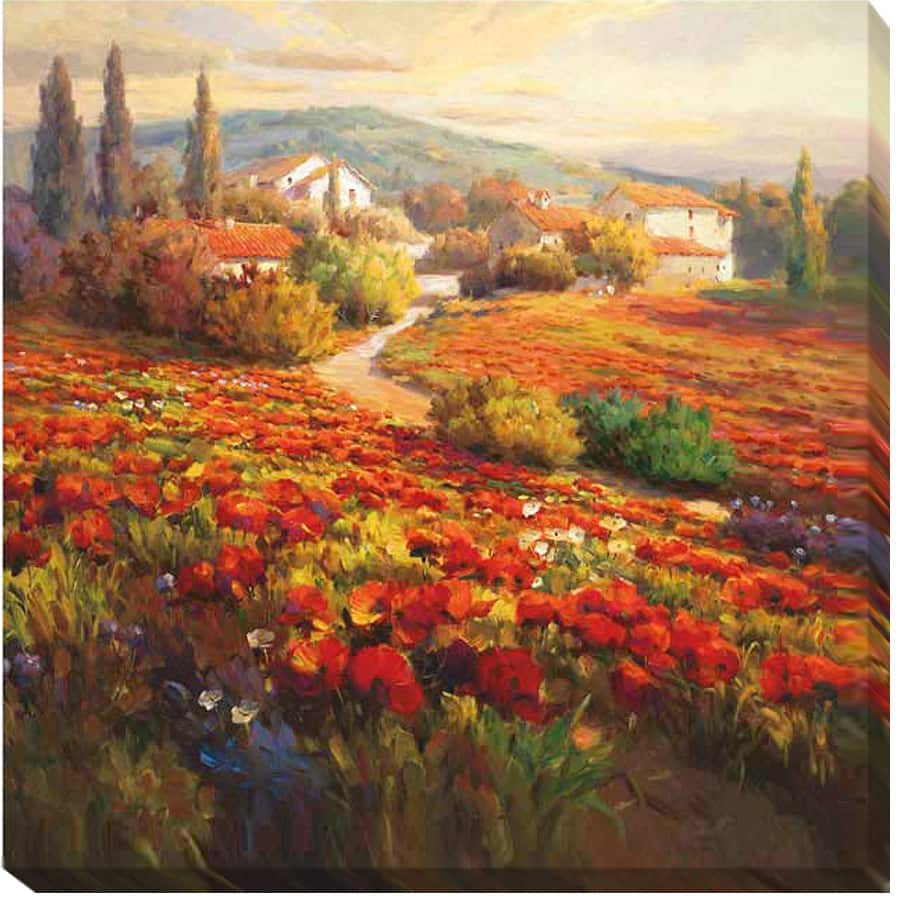 Roberto Lombardi 'Poppy Fields' Canvas Art