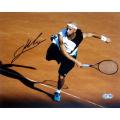 Steiner Sports James Blake Autographed Photo