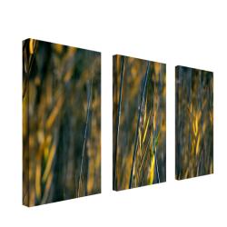 Kurt Shaffer 'Prairie Grass I' 3-panel Art Set - Bed Bath & Beyond ...