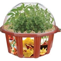 Salsa Garden Plant Kit Other Educational Toys