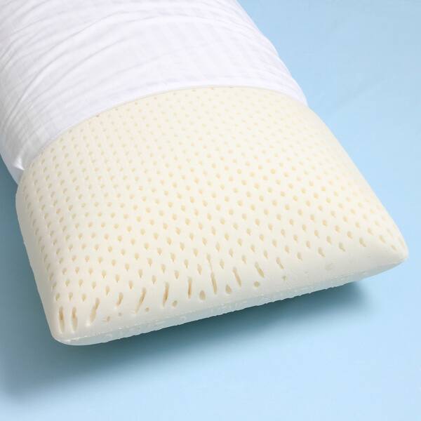 Shop Authentic Talatech 230 Thread Count Latex Foam Firm Density