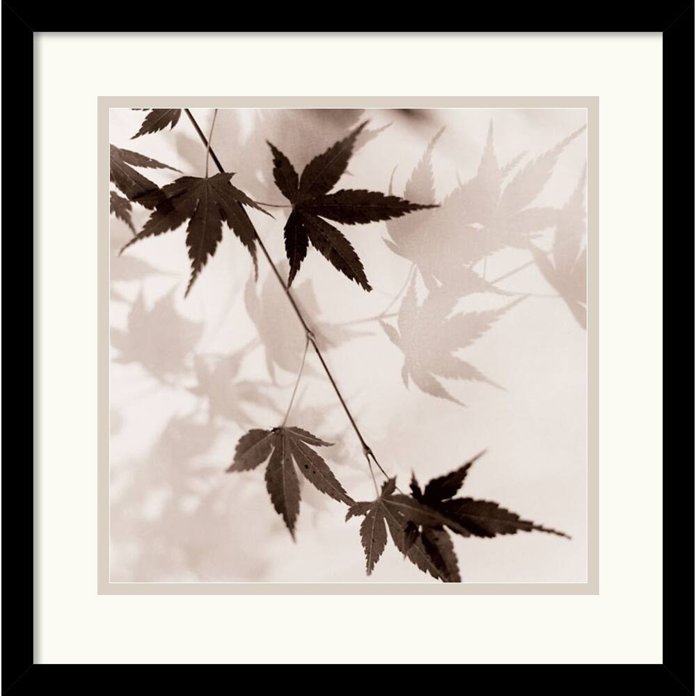 Alan Blaustein 'Japanese Maple Leaves No. 1' Framed Art Print
