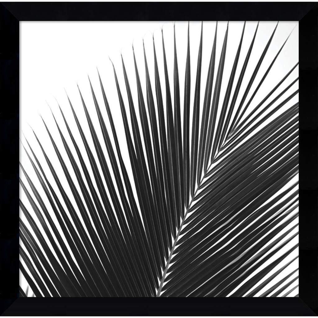 Framed Art Print 'Palms 14 (detail)' by Jamie Kingham