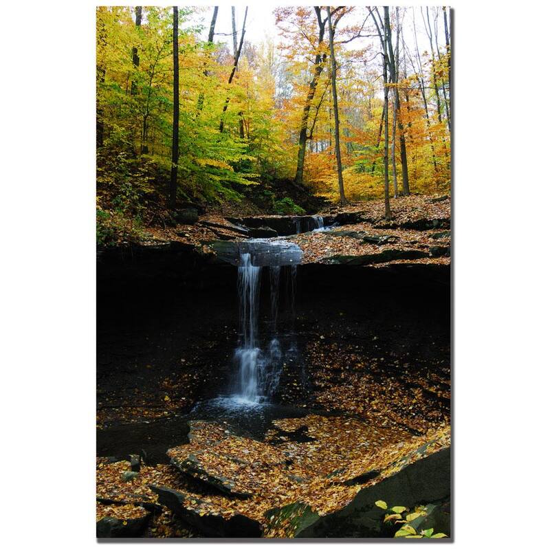 Kurt Shaffer 'Blue Hen Falls' Canvas Art