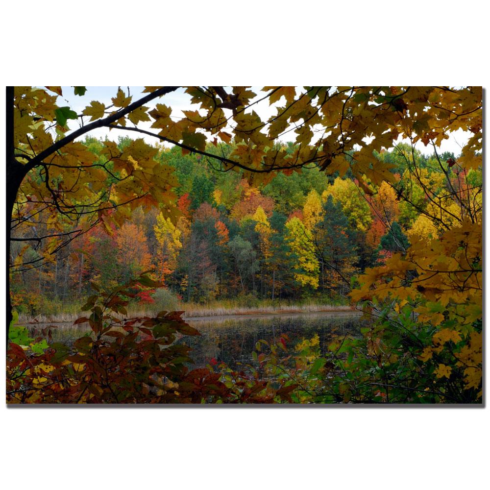 Kurt Shaffer 'Full Color Fall' Canvas Art