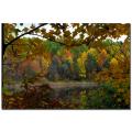 Kurt Shaffer 'Full Color Fall' Canvas Art