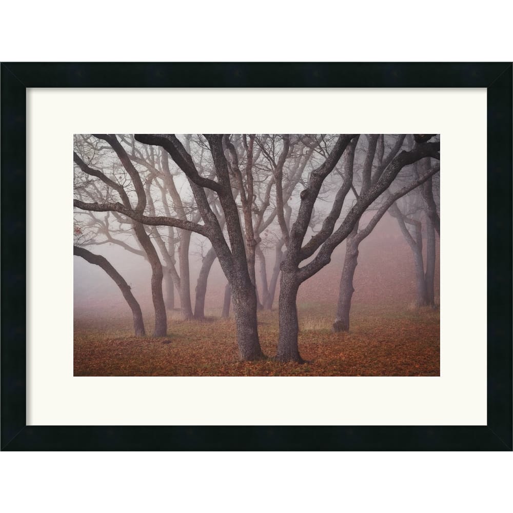 Framed Art Print 'Pilot Road Trees' by David Lorenz Winston 25 x 19-inch