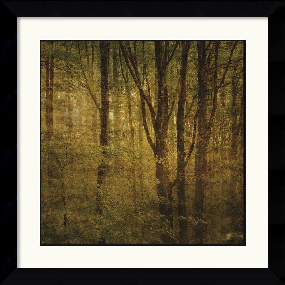 John W. Golden 'Fog in Mountain Trees No. 2' Framed Art Print