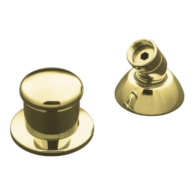 Kohler K 8549 pb Vibrant Polished Brass Two way Diverter Valve And Handshower Hose Guide