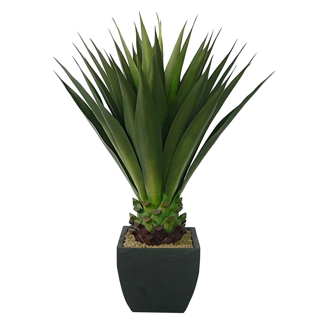 Laura Ashley 43 inch Artificial Aloe Plant