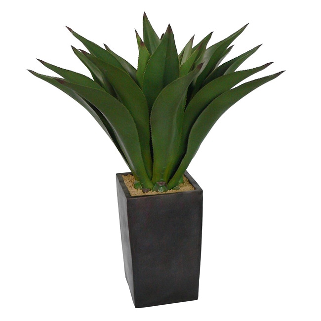 Laura Ashley 48-inch Artificial Aloe Plant