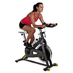 stamina cps 9300 indoor cycle