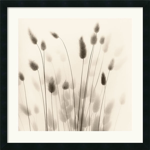 Alan Blaustein Italian Tall Grass No. 1 Framed Art Print  