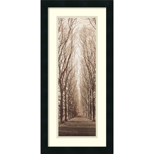 Shop Framed Art Print 'Poplar Trees' by Alan Blaustein 13 x 26-inch ...