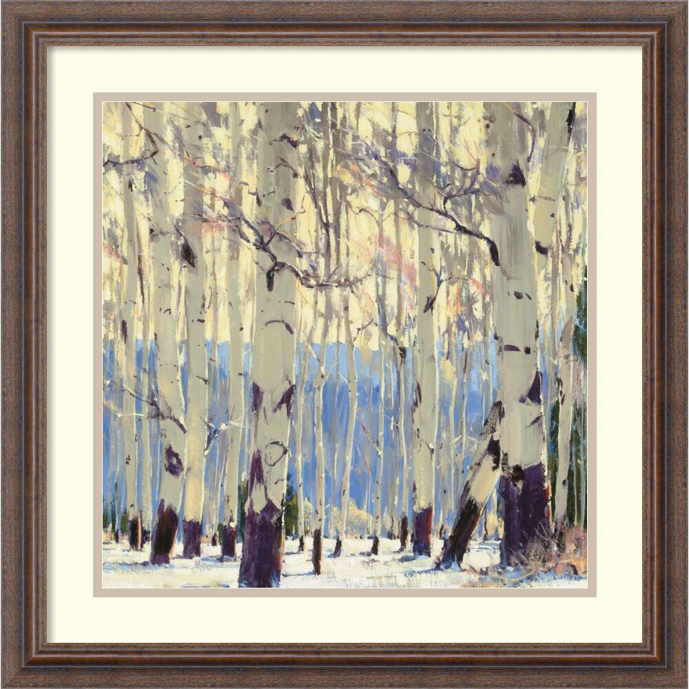 William Hook 'December Aspen' Framed Art Print