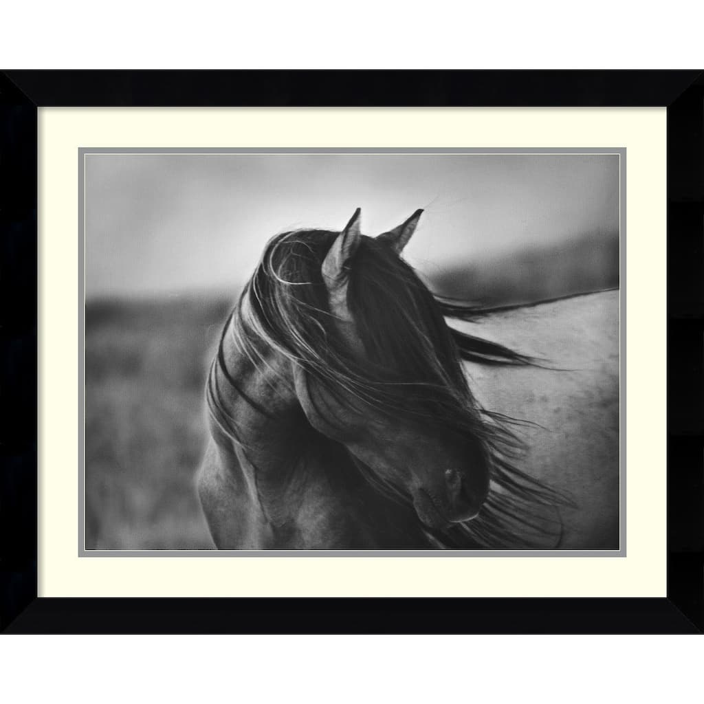 Tony Stromberg 'Fierce Grace' Framed Art Print