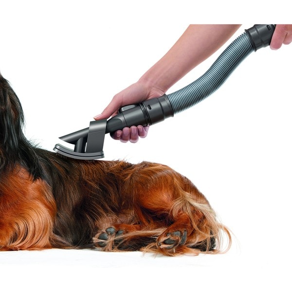 dyson groom