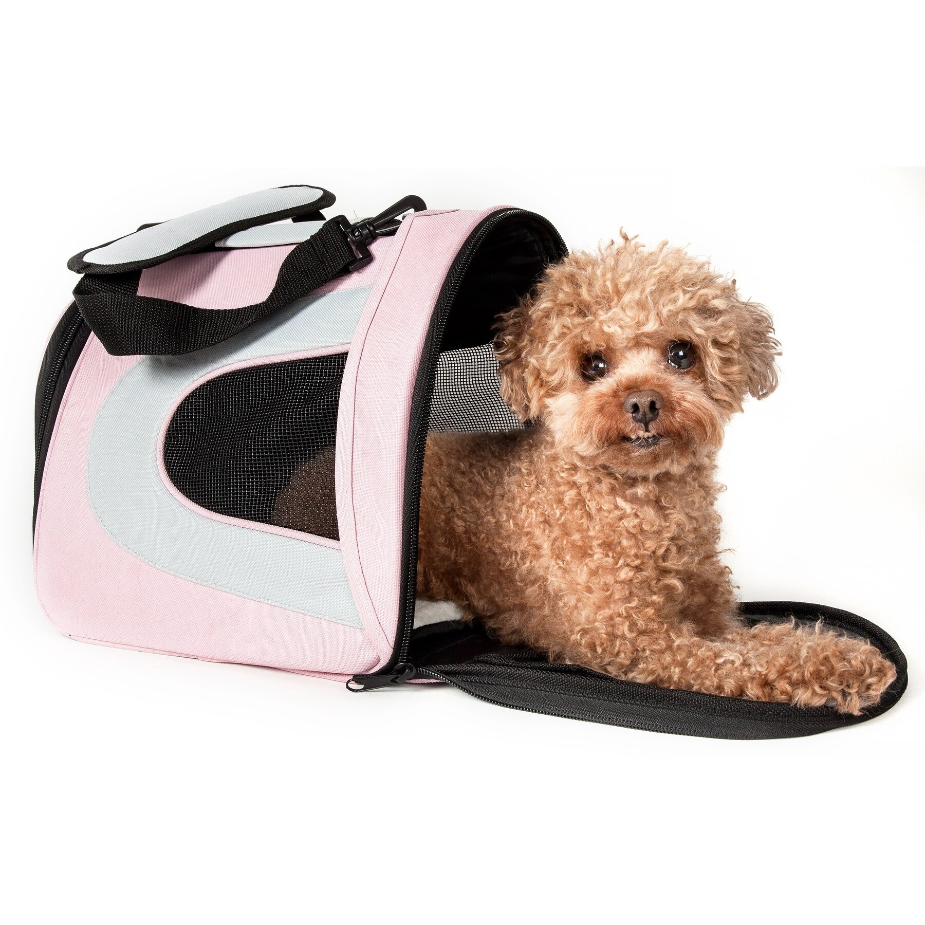 large airline pet carrier