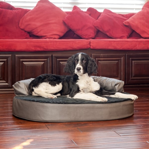 xl memory foam dog bed