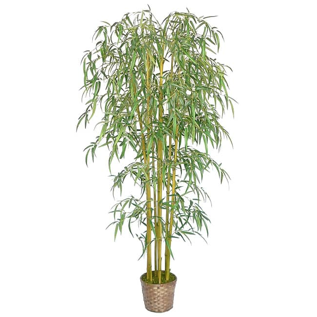 Vintage Home Realistic Bamboo Tree - 73" Tall