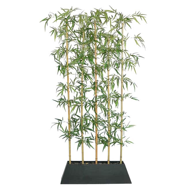 Vintage Home Bamboo Tree Screen - Green - 96"