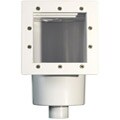 Blue Wave Standard Skimmer/ Return