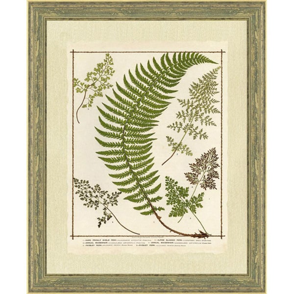 Fern Print I Framed Wall Print - Free Shipping Today - Overstock.com ...