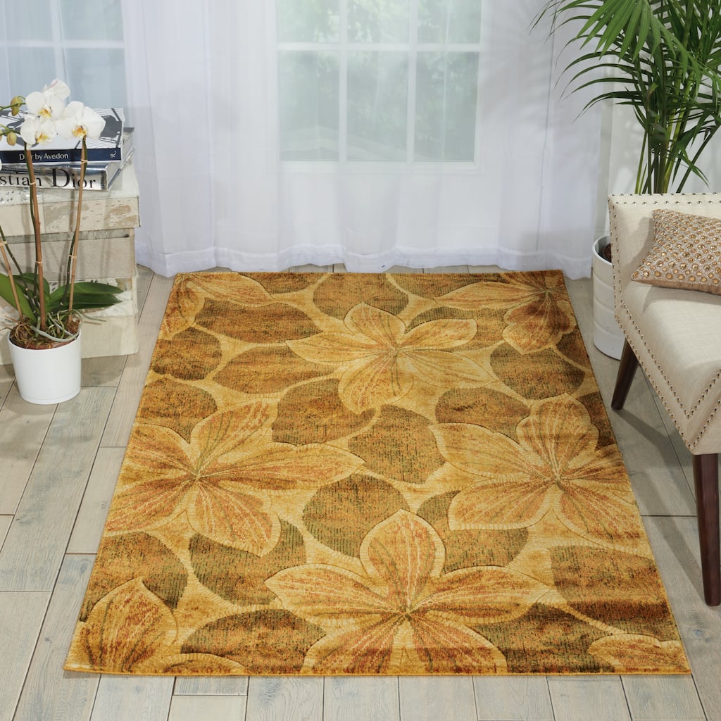 Nourison Chambord CM14 Area Rug