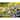 La Pastiche Vincent Van Gogh 'Irises' Hand Painted Felt Backed Wall Accent Tile