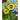 La Pastiche Van Gogh 'Sunflowers and Irises' Hand Painted Felt Backed Accent Tile