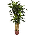 Silk 4-foot Potted Corn Stalk Dracaena Plant - Green - 4'h x 2'd