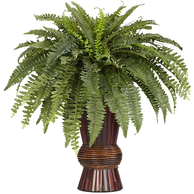 Silk Boston Fern - Artificial Boston Fern - Silk Reptile Plant