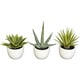 Agave Silk Plants Set of 3 Southwest Collection - Green