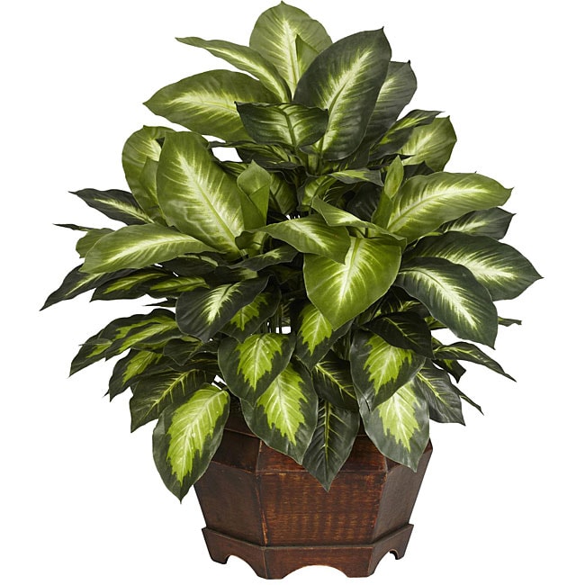 Golden Dieffenbachia Silk Plant