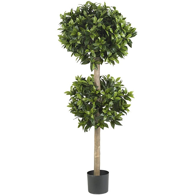 Sweet Bay Double Ball Silk Tree