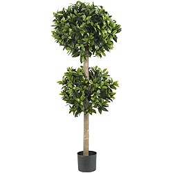 Sweet Bay Double Ball Silk Tree - 57"h x 23"d. Opens flyout.