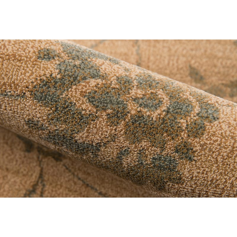 Momeni Belmont Traditional Area Rug