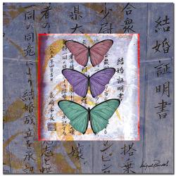 Miguel Paredes 'Butterflies II' Canvas Art Trademark Fine Art Canvas