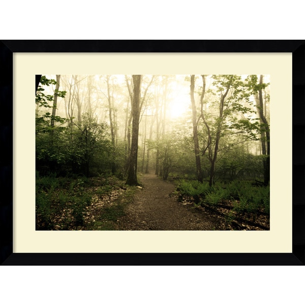 Shop Framed Art Print 'Appalachian Trail' by Andy Magee 39 x 29-inch ...