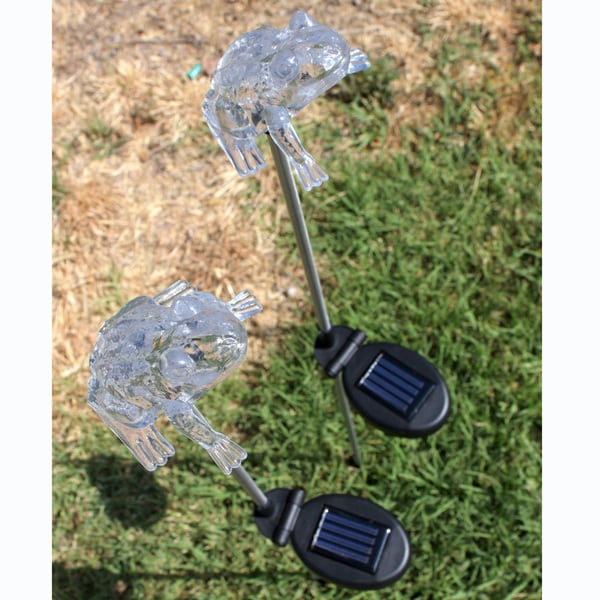 Garden Solar Powered Frog Lights