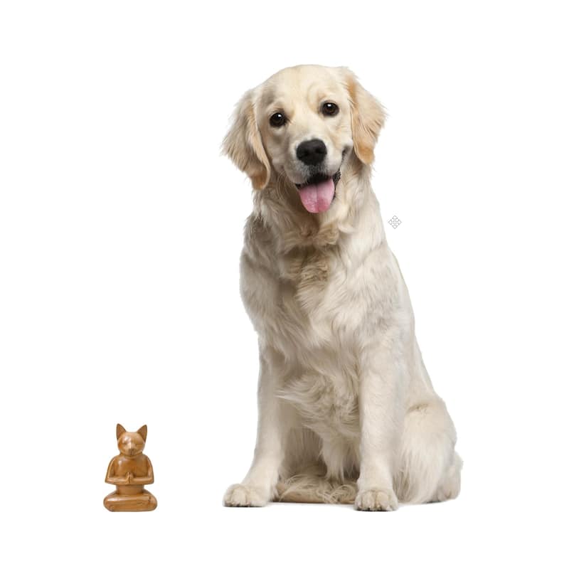 NOVICA Suar Wood 'Cat In Deep Meditation' Sculpture, Handmade in Indonesia - 6.5 H * 4.1 W - Brown