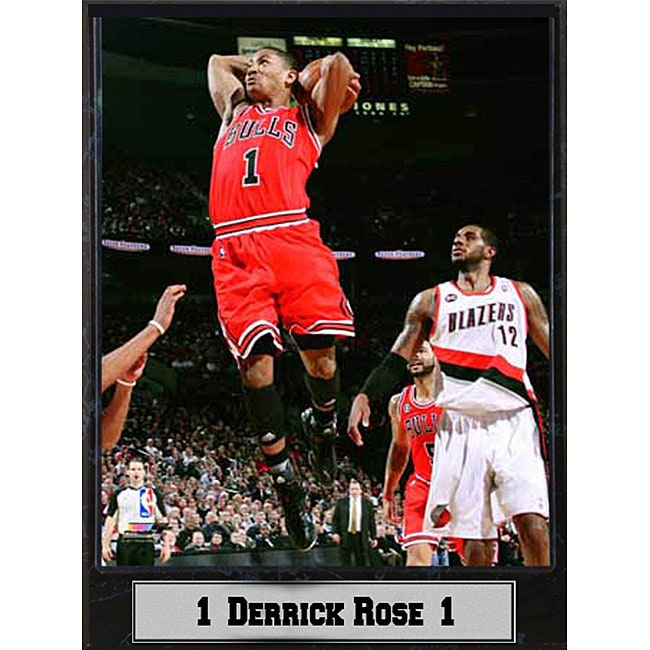 Chicago Bulls Derrick Rose Black Hangable Commemorative Photo Plaque