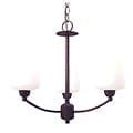 Woodbridge Lighting Copenhagen 3-light Textured Coffee Chandelier